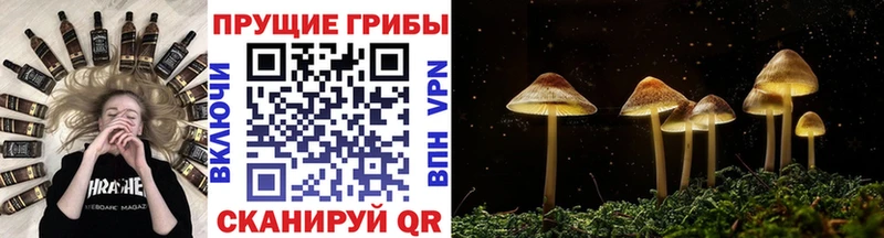Галлюциногенные грибы мухоморы Алзамай